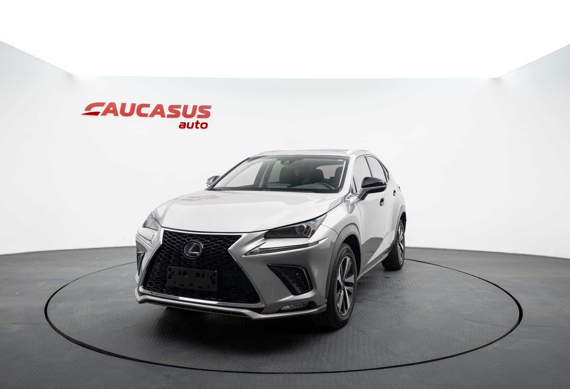 LEXUS NX 2019 - 1