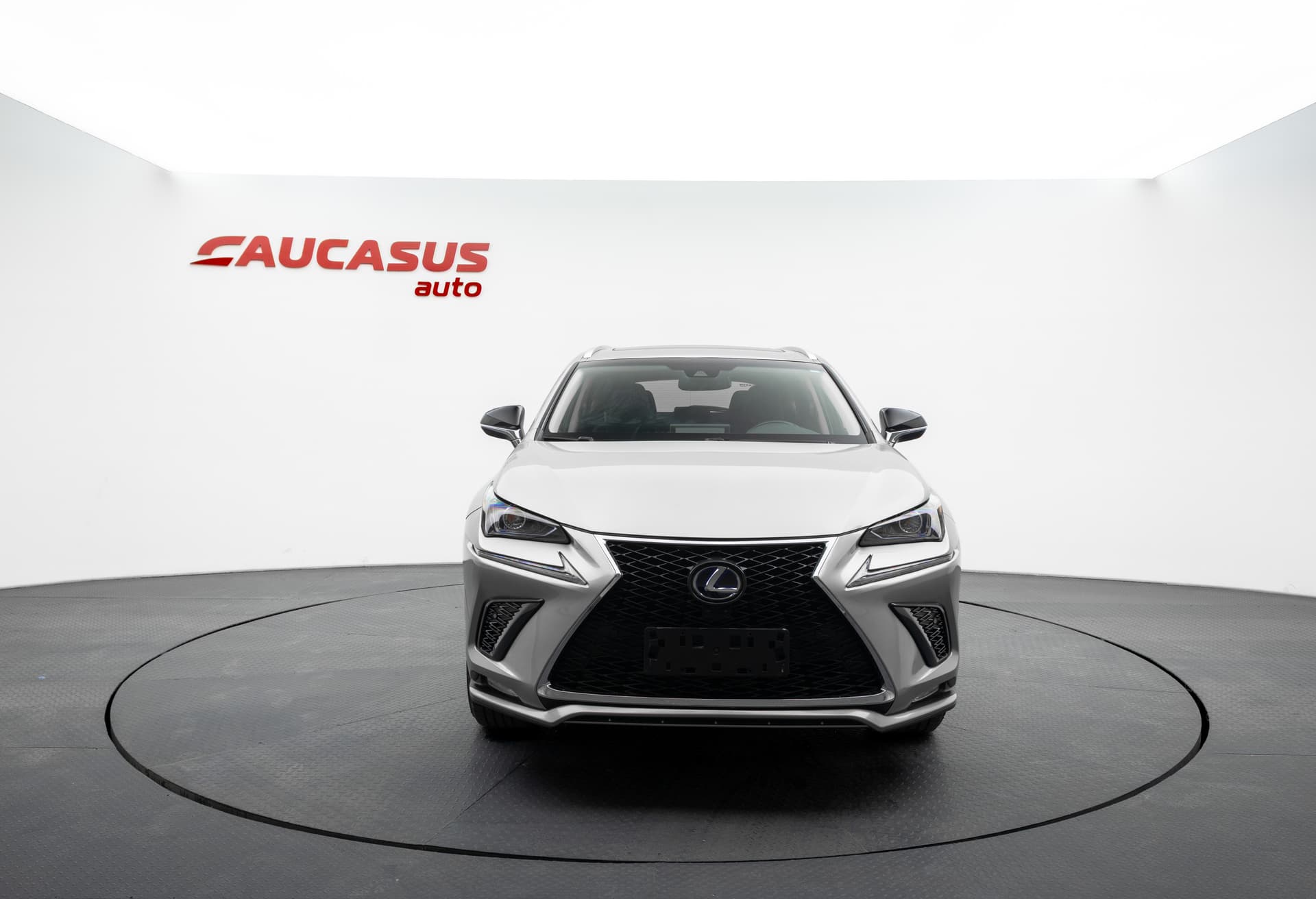 LEXUS NX 2019 - 2