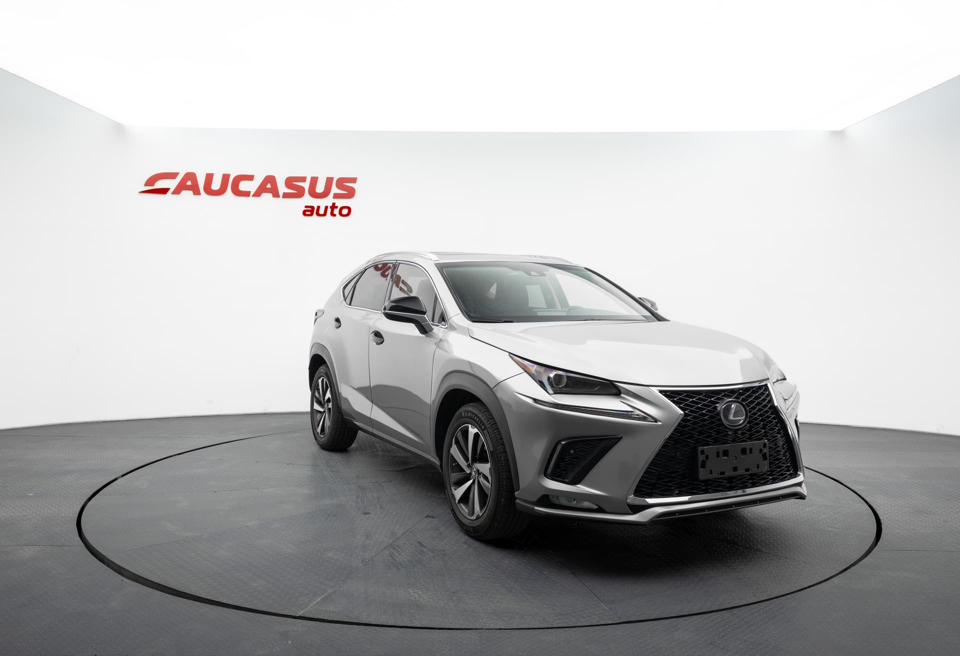 LEXUS NX 2019 - 3