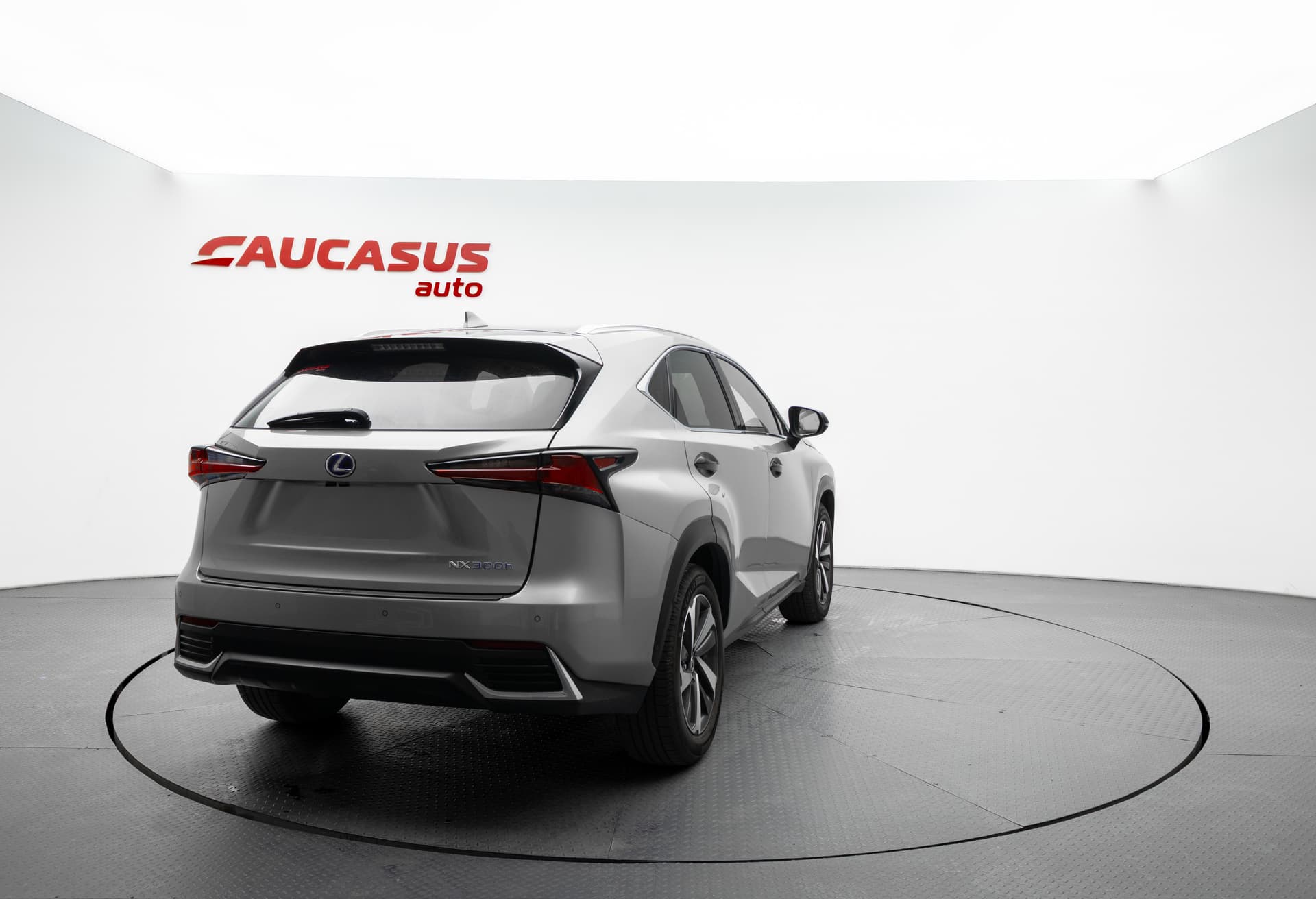 LEXUS NX 2019 - 4