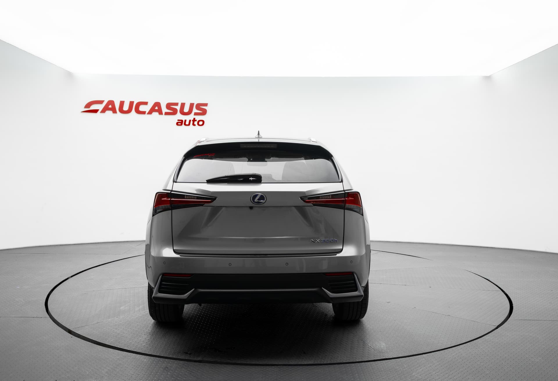 LEXUS NX 2019 - 5