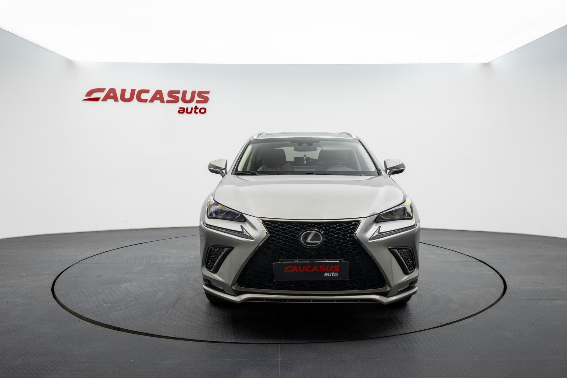 LEXUS NX 2020 - 2