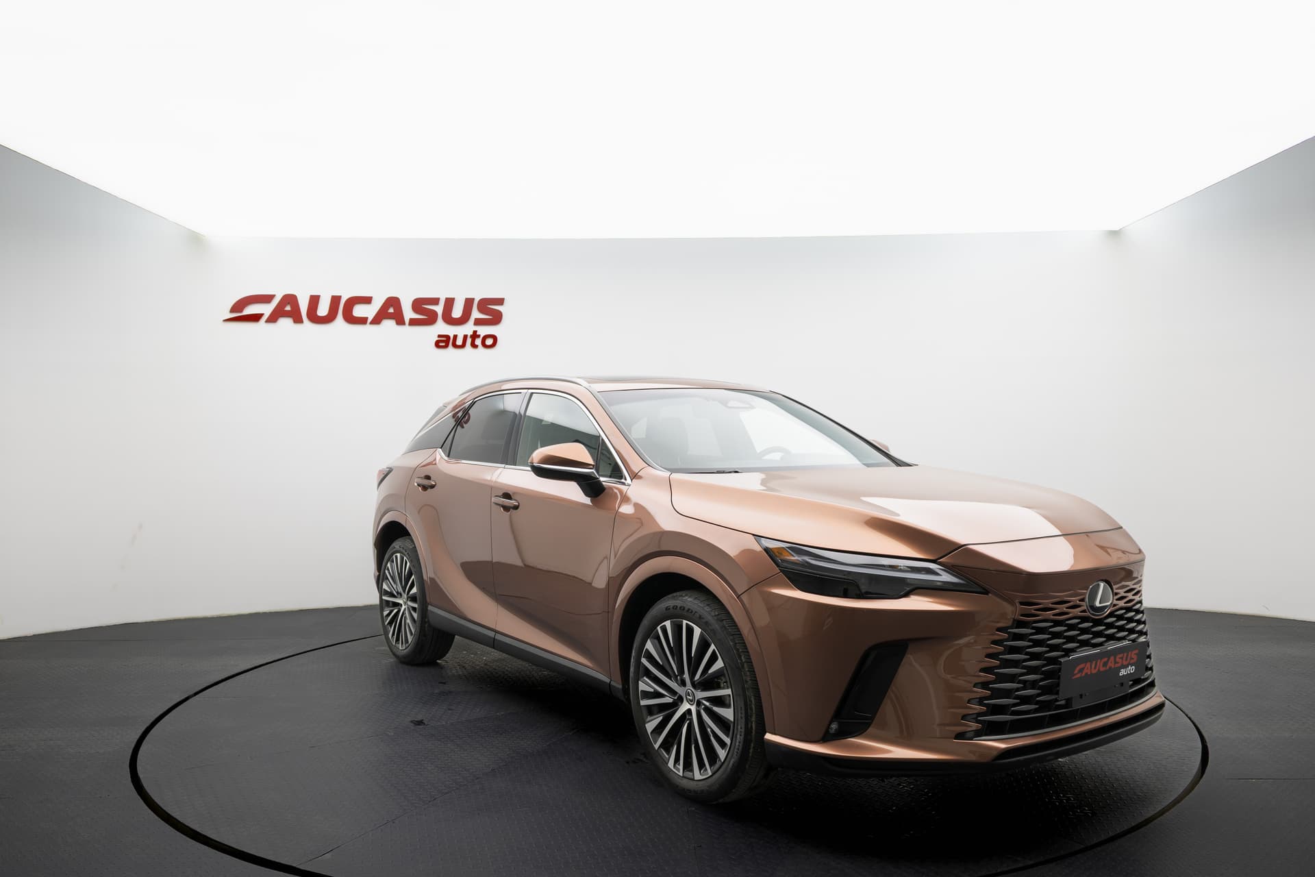 LEXUS RX 2023 - 3
