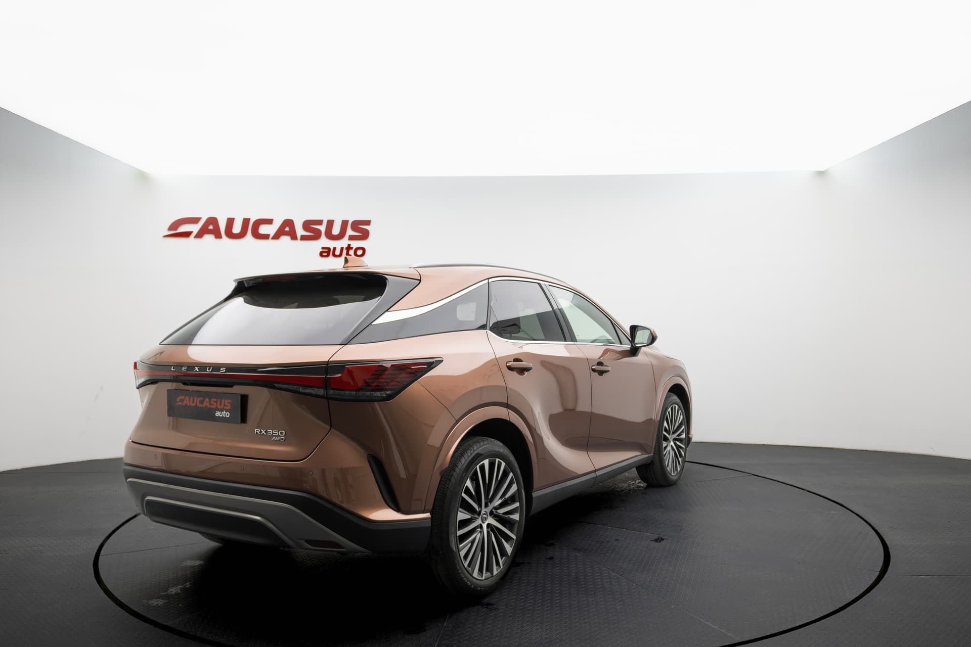 LEXUS RX 2023 - 4