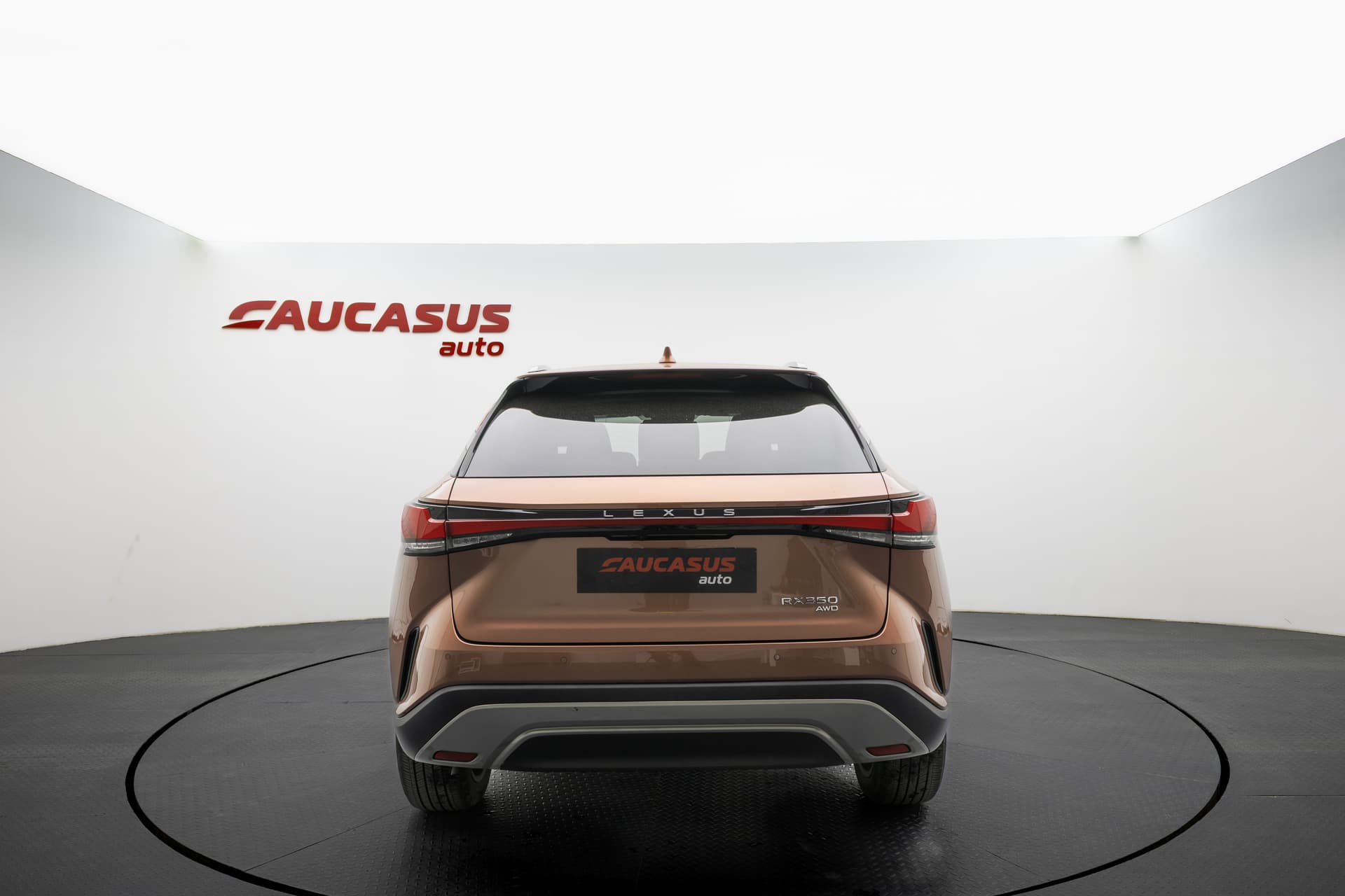 LEXUS RX 2023 - 5