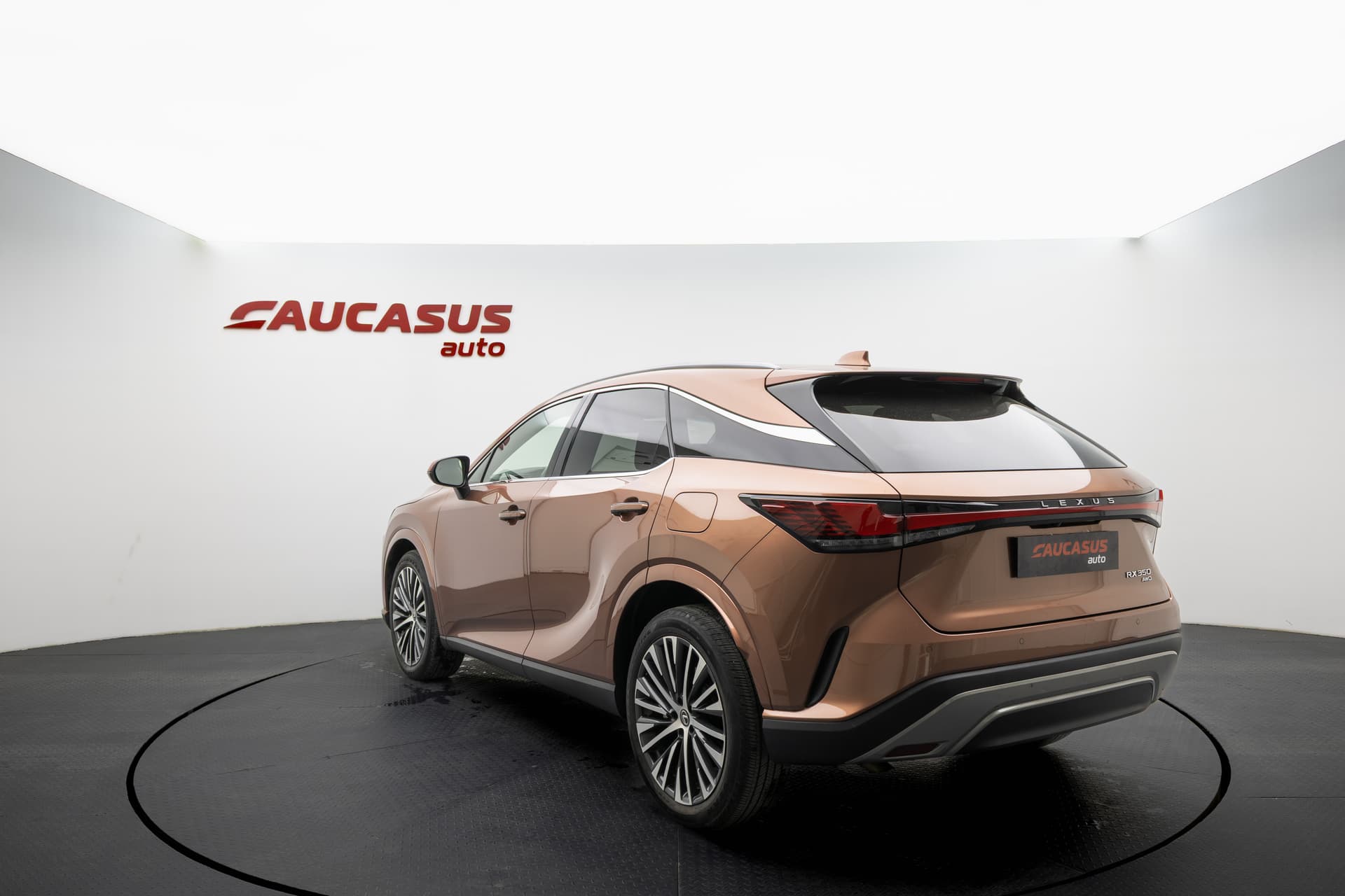 LEXUS RX 2023 - 6