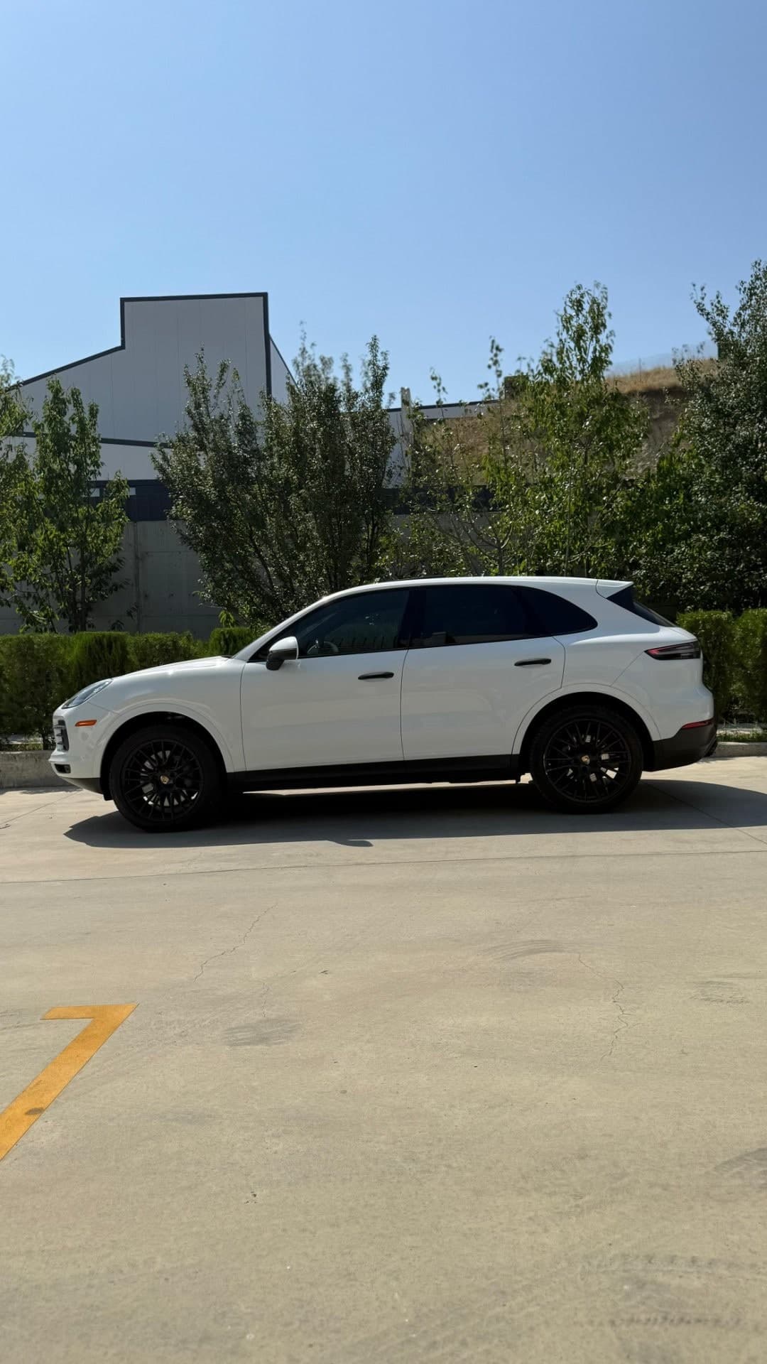 Porsche Cayenne 2019 - 3
